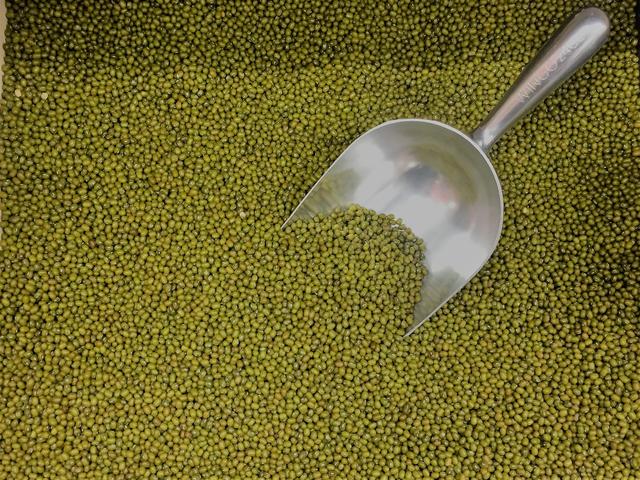 Restriction on Urad and Moong Dal imports